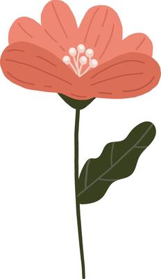 Flower element, Plant illustration, Digital flower design, Abstract floral item pink flower