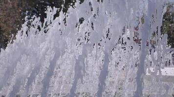 Water fountain sprays create a refreshing atmosphere on a sunny day video