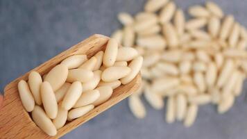 Discovering the culinary uses of delicious pine nuts in cooking video