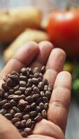 Hand holding fresh beans with spices and vegetables nearby video