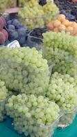 Fresh grapes displayed at local market in summer season video