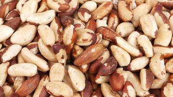 Close-Up of Fresh Brazilian Nuts With Natural Shell Patterns video
