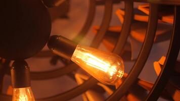 Warm light bulbs create cozy atmosphere in artistic setting video