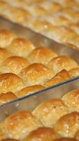 Freshly baked baklava in a tray at a local bakery video