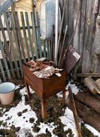 Rusty metal barbecue grill filled with wood scraps surrounded by snow and old outdoor tools. Weathered fence and logs add a rustic touch to the backyard setting photo