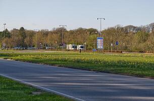 Scenic Roundabout with Traffic Signs and Blooming Flowers photo