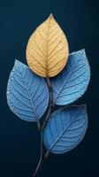 Dew Covered Gold and Blue Leaves Close Up Nature Photography Abstract Botanical Image photo
