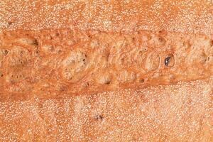 Buckwheat bread as a background macro photo. Baguette texture. photo