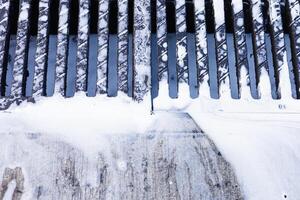 Cleaning a street drain with soap and water in an urban environment during daytime photo