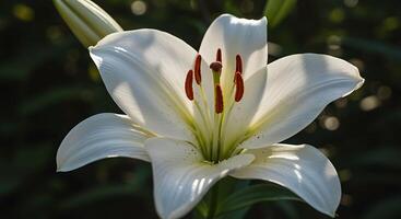 Sharp Texture Flower Close-Up Captured in a Natural Setting photo