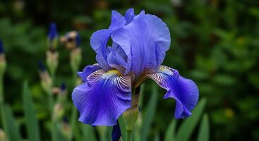 Ultra-Realistic Macro Capture of a Flower Sharp Details photo
