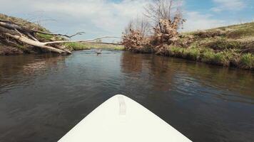 A view of a river from the top of a paddle board video