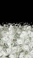 Vertical Transition of a Group of Bent Dollar Bills in Different Sizes video