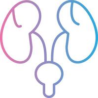 Bladder Color Enhanced Graphic vector