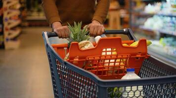 Close-up of shopping cart with groceries in store video