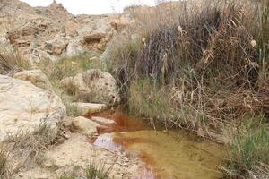 a stream running through a rocky area with brown water photo
