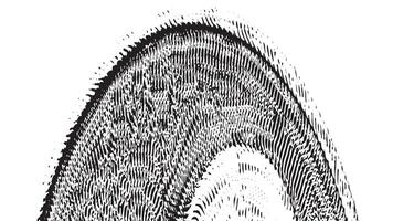 Detailed black and white abstract grunge design featuring intricate arch patterns and artistic lines perfect for creative backgrounds prints and modern artistic projects vector