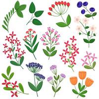 Collection of cute branches with flowers, collection with botanical elements. vector