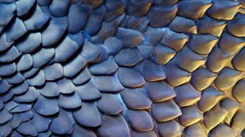Extreme macro view of shark skin revealing intricate textures and patterns in natural habitat photo