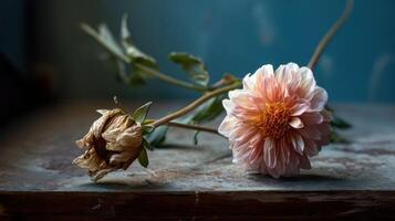 Wilted flower rests beside a vibrant bloom on a rustic surface in soft lighting photo