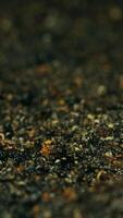 A close up of a black and white object on the ground video