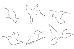 Hummingbird Icons Set Black Outline Flying Bird Design vector
