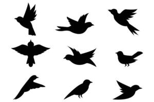 Silhouette Bird Collection Set of Flying and Perched Birds Isolated on White Background vector