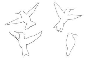 Hummingbird outline Icon Set Illustration of Flying Birds vector