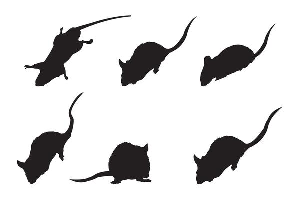 A set of silhouettes of mice