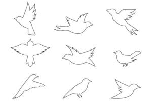 Outline Bird Collection Set of Flying and Perched Birds Isolated on White Background vector