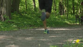 Man running on trail through green park in summer day video