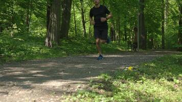 Man running on trail through green park in summer day. Outdoor cardio training in nature. Male runner jogging on forest path video