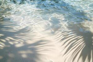 Crystal clear water rippling with palm tree shadows on sandy beach photo
