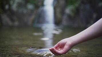 Hands Touching Tranquil Turquoise Pond with Gentle Water Ripples and Crystal Clear Bottom low video