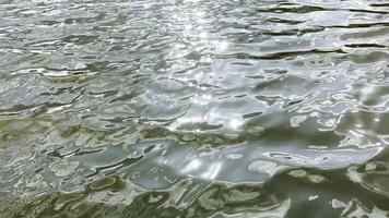 Scenery surface of pond illuminated by sun at summertime. Calm view on sea with small waves at sunny day. Beautiful summer nature landscape. Concept of tranquility scene. Slow moti video