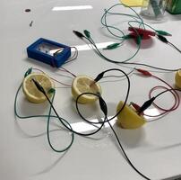 Experiment, is it possible to get energy and electricity from lemon...Yes photo