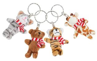 tiger keychain cut out isolated white background with clipping path photo