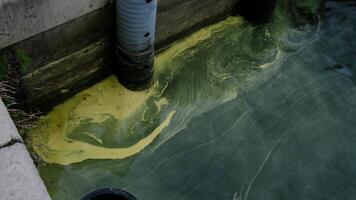 Dirty polluted water surface video
