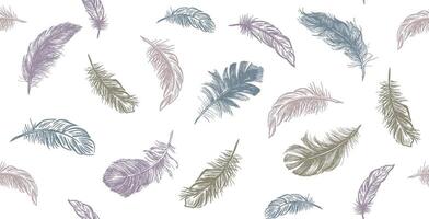 Feather Pattern on white, set vector