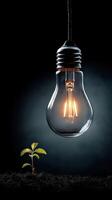 glowing light bulb hovers above small plant in soil, symbolizing growth photo