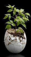 plant grows from cracked light bulb, symbolizing resilience photo