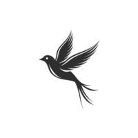 Black bird with long tail feathers flying in the air vector