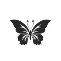Black and white butterfly with its wings spread open vector