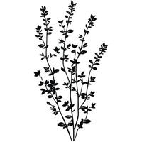 Black and white drawing of a plant with a few leaves vector