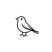 A black and white drawing of a bird vector