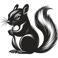 Black squirrel is sitting on a white background vector