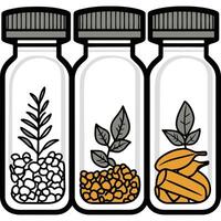 Three glass bottles with different colored liquids inside vector
