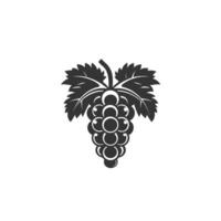 Black and white image of a grape vine with a bunch of grapes vector