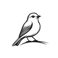 Black and white drawing of a bird perched on a branch vector