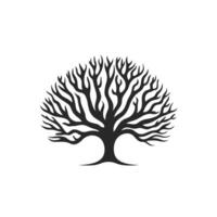 Tree with no leaves is shown in black and white vector